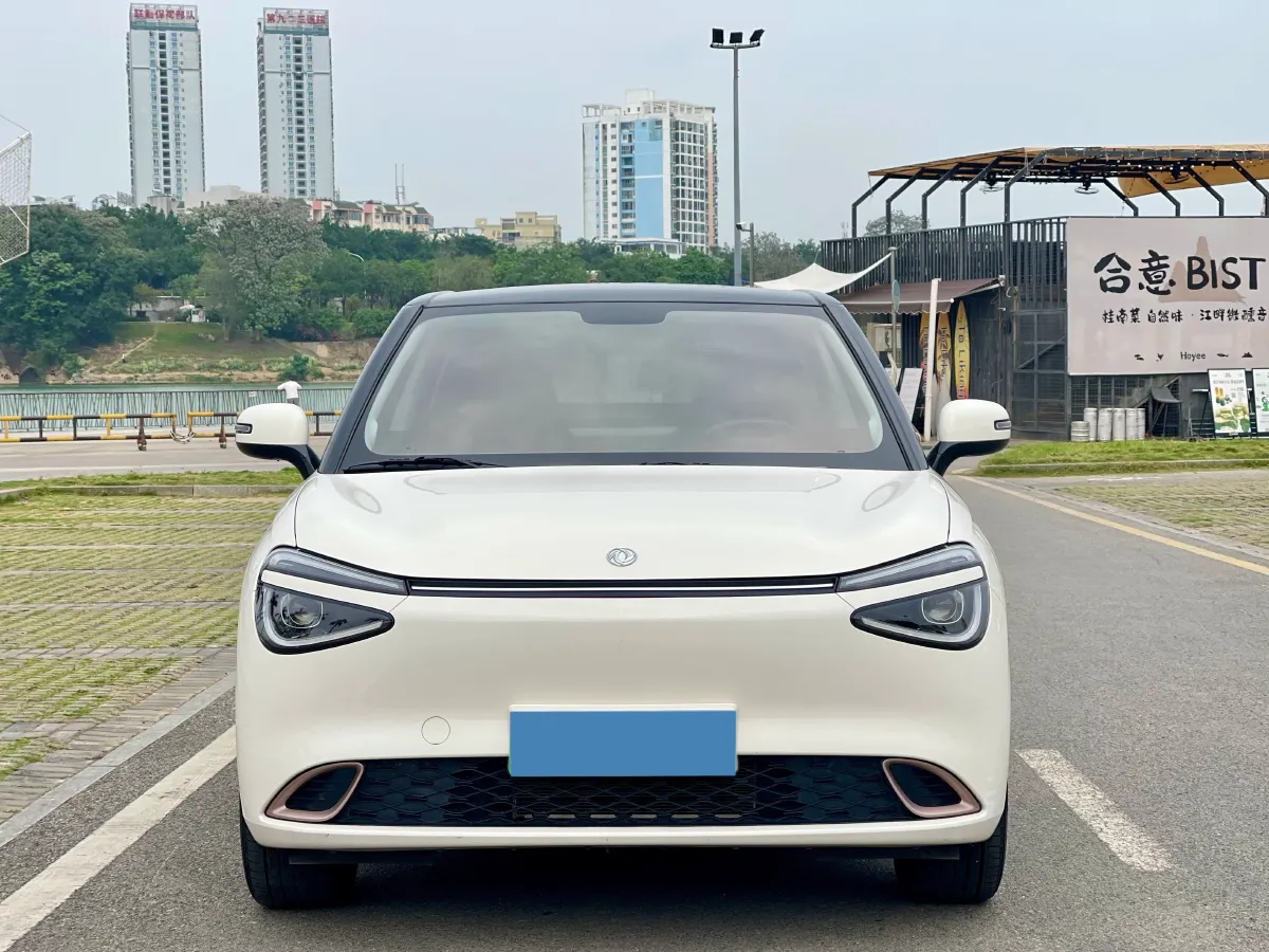 2024 DongFeng eπ 01 BEV 31.45KWH,autocango,china used car exporter,china ev exporter,chinese used car exporter,chinese used ev exporter