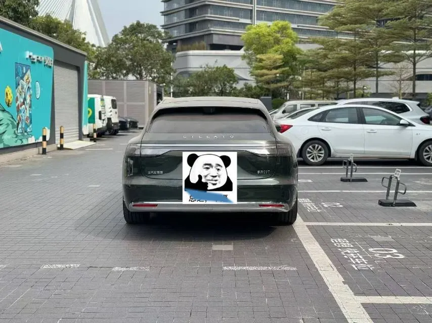 2024 HIMA Stelato S9 BEV 100KWH,autocango,china used car exporter,china ev exporter,chinese used car exporter,chinese used ev exporter