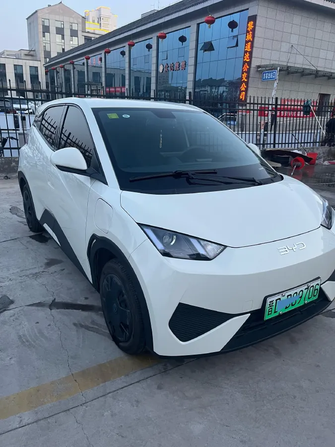 2025 BYD Seagull BEV 30.08KWH,autocango,china used car exporter,china ev exporter,chinese used car exporter,chinese used ev exporter