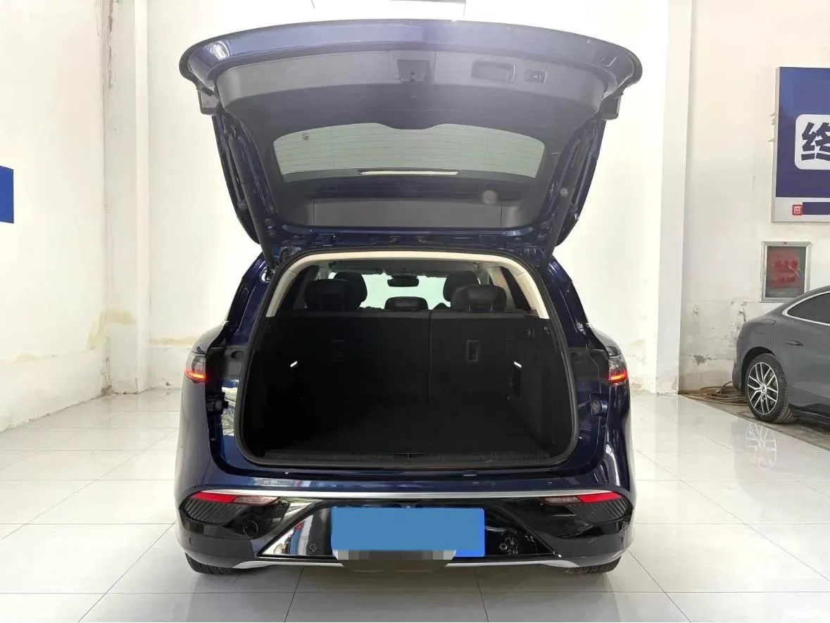 2021 Voyah FREE Range Extended 109HP REEV 33KWH,autocango,china used car exporter,china ev exporter,chinese used car exporter,chinese used ev exporter