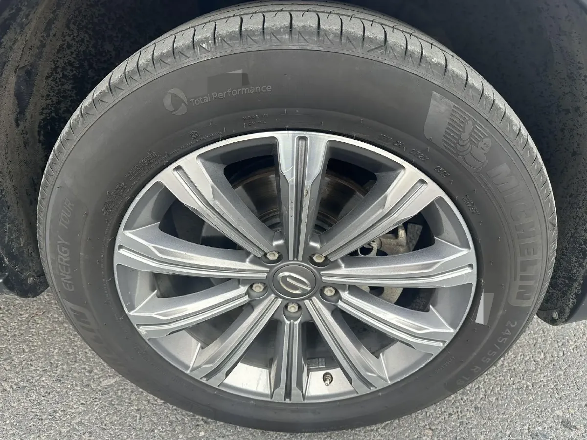 2020 GAC Trumpchi GS8 2.0T 252HP L4 6AT,autocango,china used car exporter,china ev exporter,chinese used car exporter,chinese used ev exporter