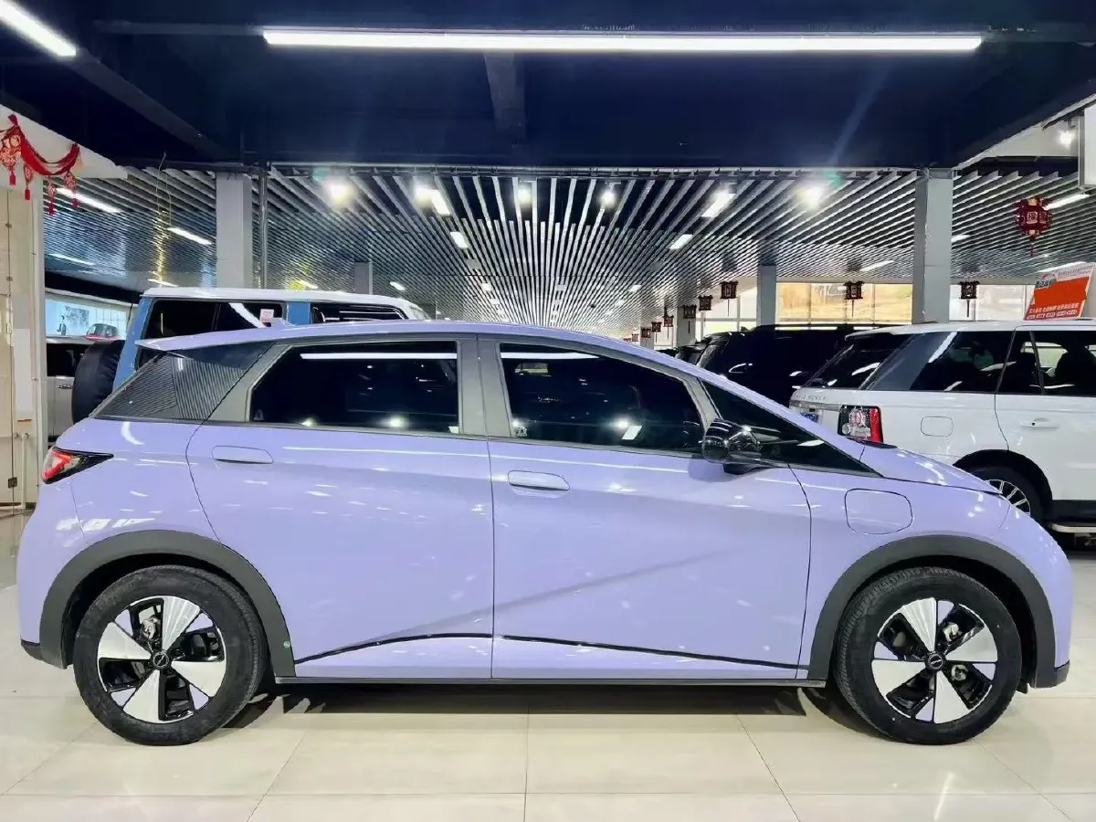 2023 BYD Dolphin BEV 44.928KWH,autocango,china used car exporter,china ev exporter,chinese used car exporter,chinese used ev exporter