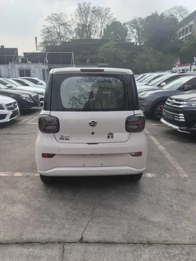 2024 ZD Rainbow BEV 17.3KWH,autocango,china used car exporter,china ev exporter,chinese used car exporter,chinese used ev exporter