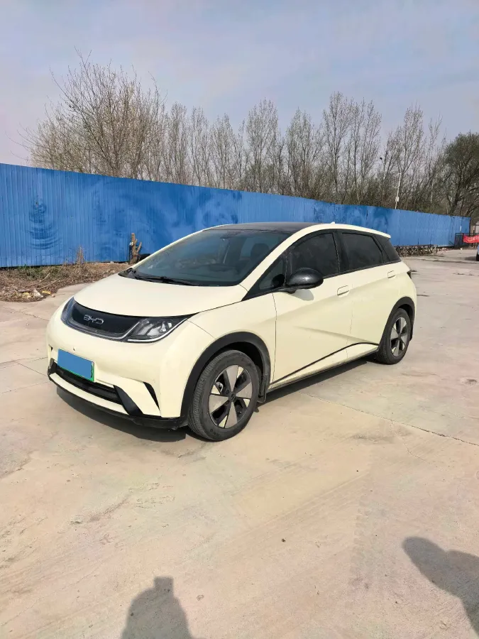 2023 BYD Dolphin BEV 44.928KWH,autocango,china used car exporter,china ev exporter,chinese used car exporter,chinese used ev exporter