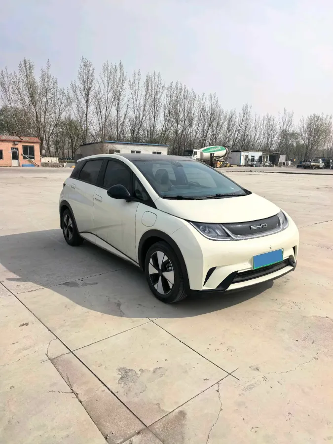 2023 BYD Dolphin BEV 44.928KWH,autocango,china used car exporter,china ev exporter,chinese used car exporter,chinese used ev exporter