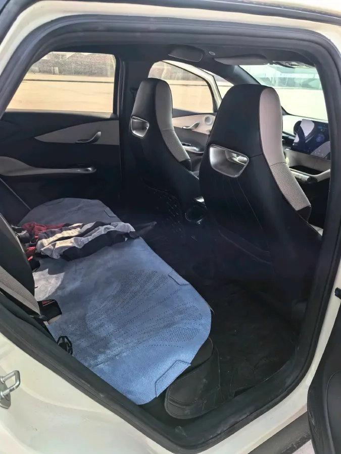 2023 BYD Dolphin BEV 44.928KWH,autocango,china used car exporter,china ev exporter,chinese used car exporter,chinese used ev exporter