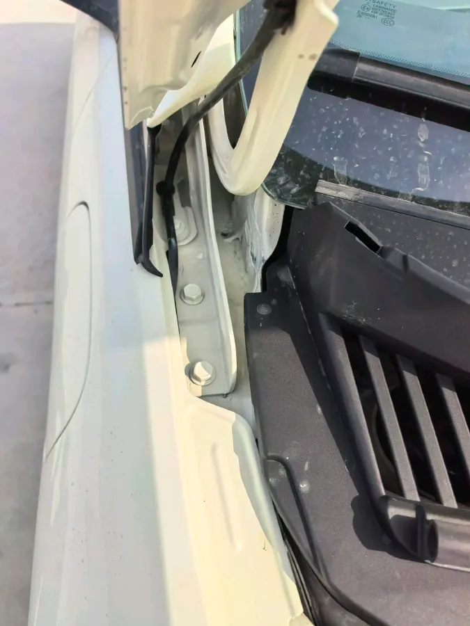 2023 BYD Dolphin BEV 44.928KWH,autocango,china used car exporter,china ev exporter,chinese used car exporter,chinese used ev exporter