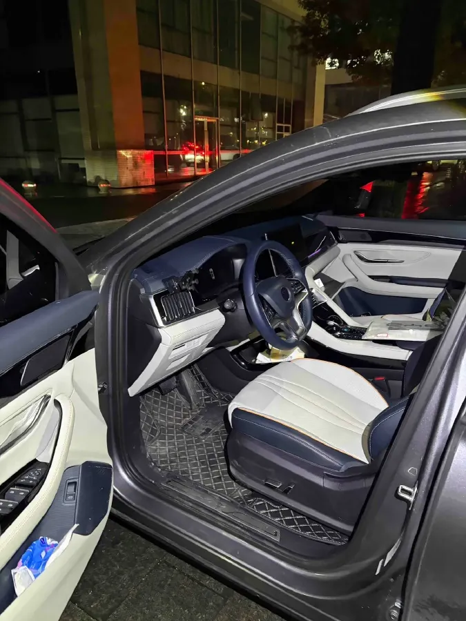 2021 BYD Qin BEV 53.56KWH,autocango,china used car exporter,china ev exporter,chinese used car exporter,chinese used ev exporter