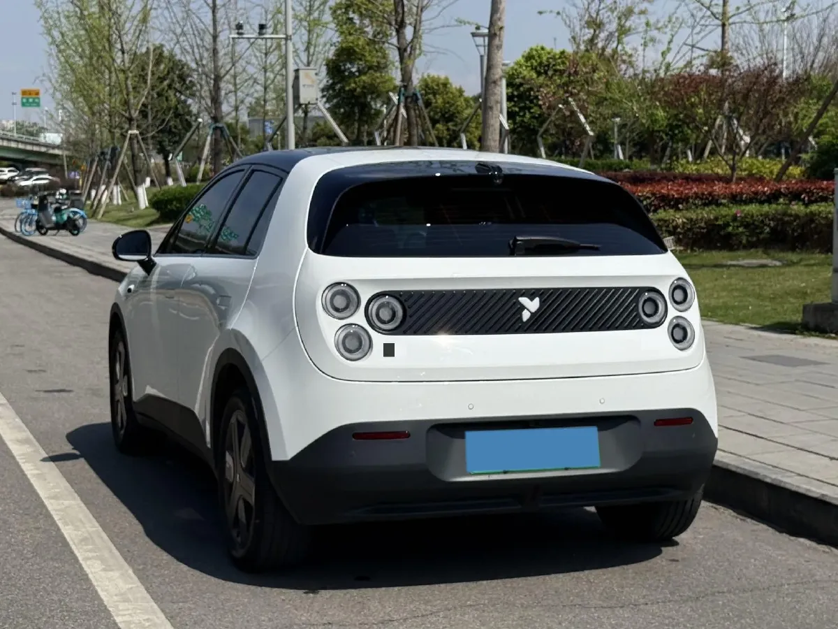 2025 Firefly Firefly BEV,autocango,china used car exporter,china ev exporter,chinese used car exporter,chinese used ev exporter