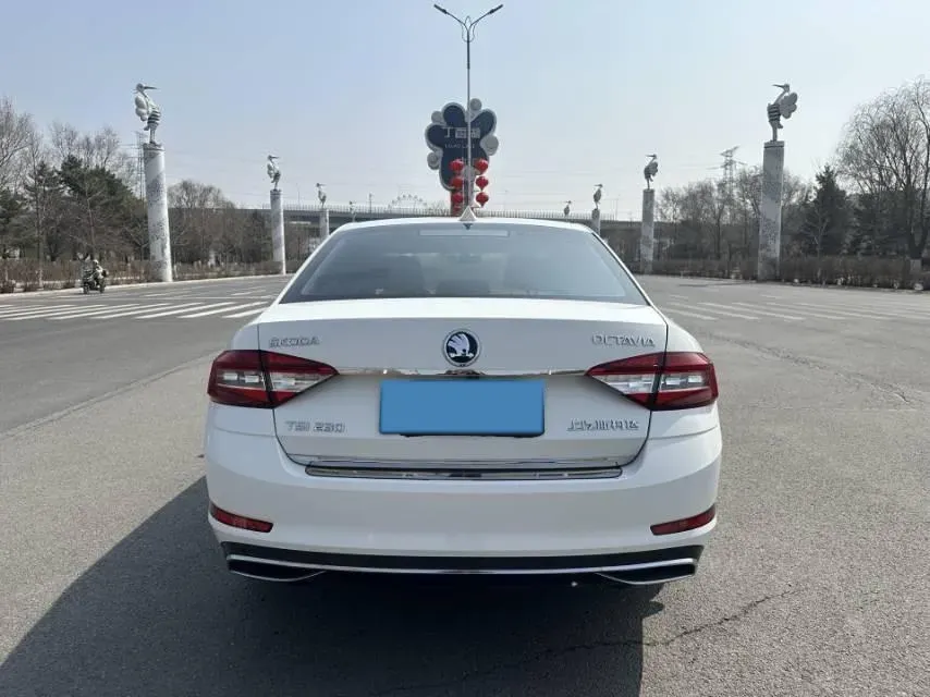 2018 Skoda Octavia 1.2T 116HP L4 7DCT,autocango,china used car exporter,china ev exporter,chinese used car exporter,chinese used ev exporter