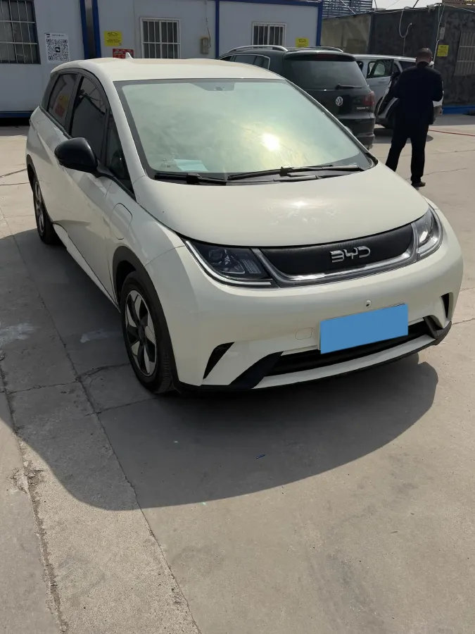 2024 BYD Dolphin BEV 44.928KWH,autocango,china used car exporter,china ev exporter,chinese used car exporter,chinese used ev exporter