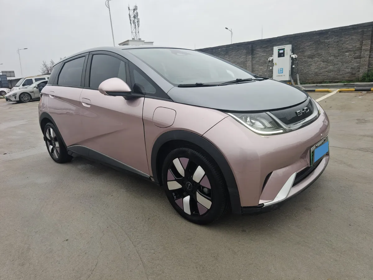 2021 BYD e2 BEV 43.2KWH,autocango,china used car exporter,china ev exporter,chinese used car exporter,chinese used ev exporter