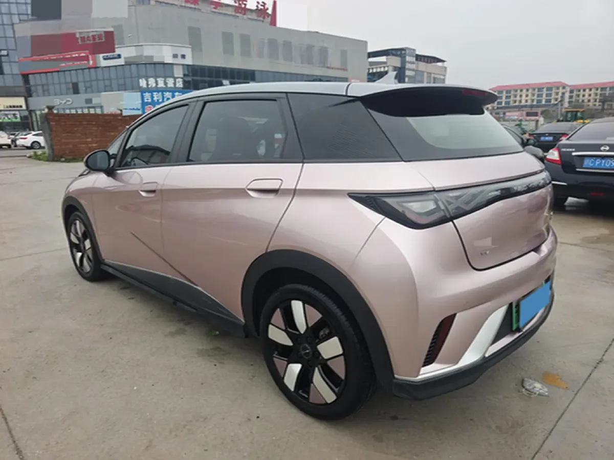 2021 BYD e2 BEV 43.2KWH,autocango,china used car exporter,china ev exporter,chinese used car exporter,chinese used ev exporter