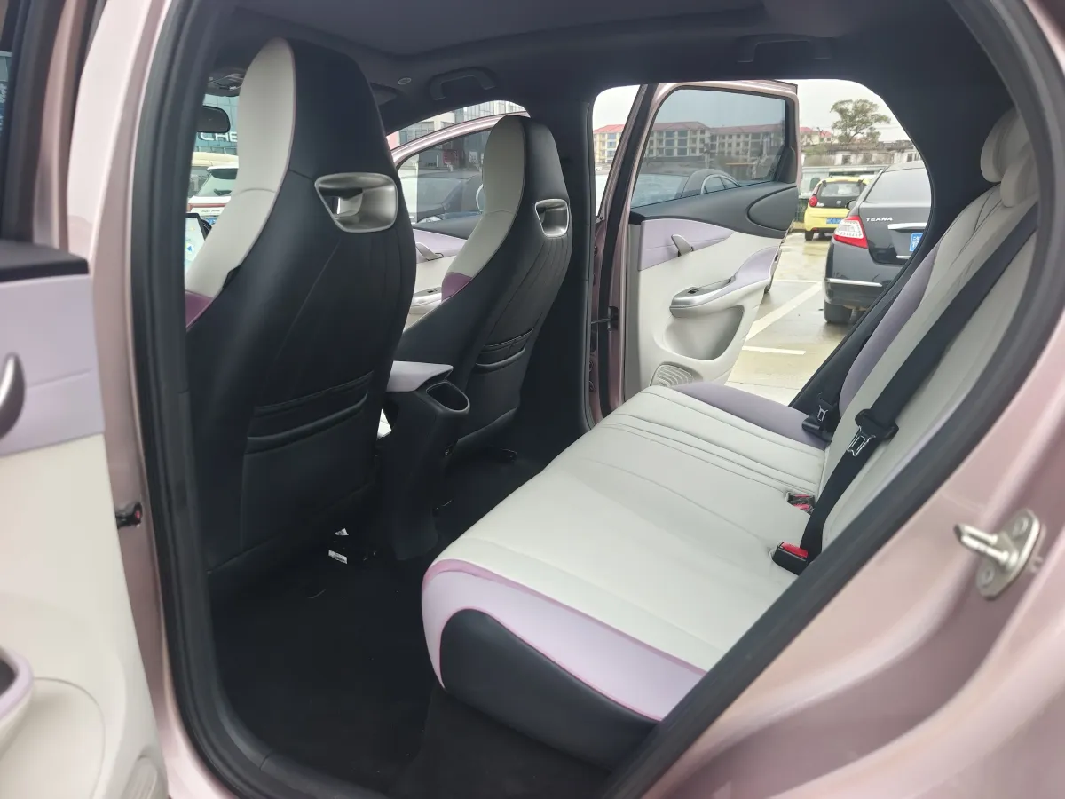 2021 BYD e2 BEV 43.2KWH,autocango,china used car exporter,china ev exporter,chinese used car exporter,chinese used ev exporter