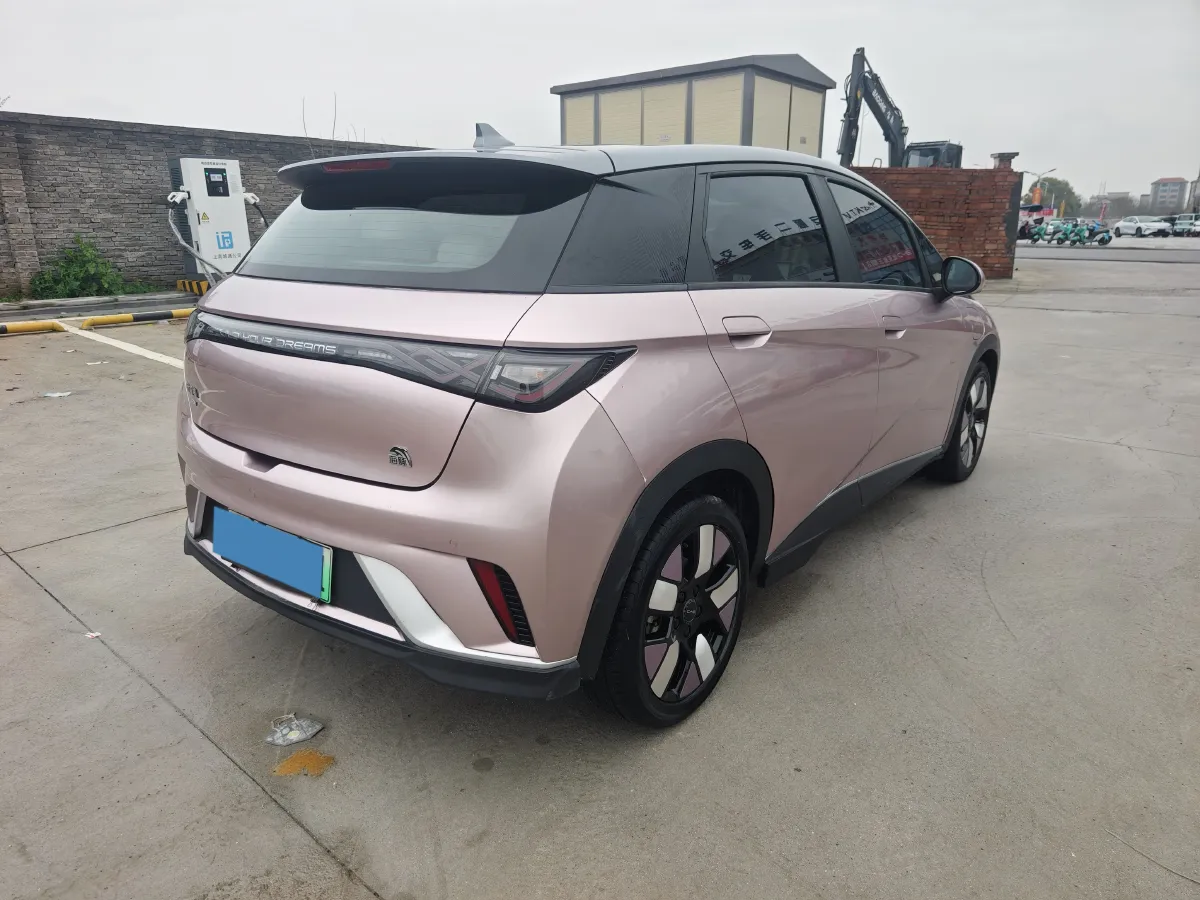 2021 BYD e2 BEV 43.2KWH,autocango,china used car exporter,china ev exporter,chinese used car exporter,chinese used ev exporter