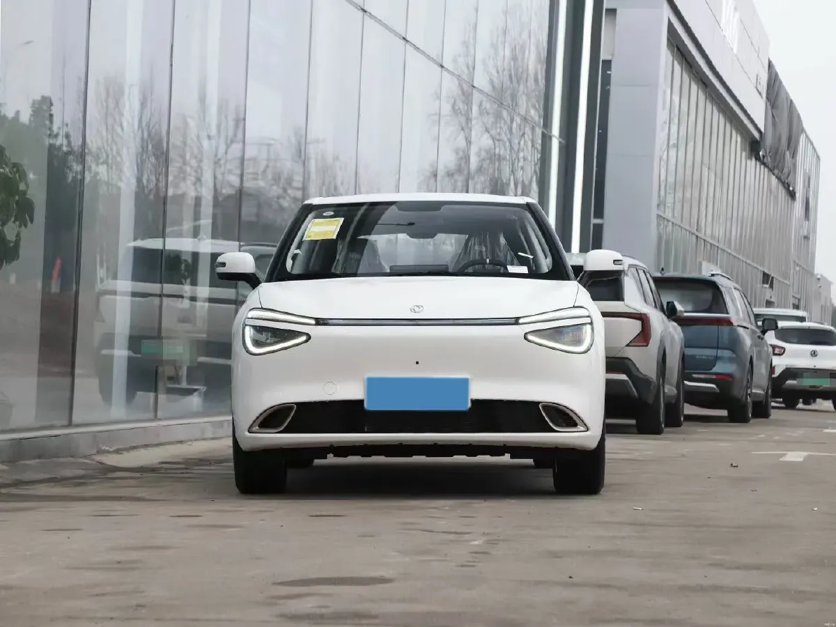 2024 DongFeng Nammi 01 BEV 42.3KWH,autocango,china used car exporter,china ev exporter,chinese used car exporter,chinese used ev exporter