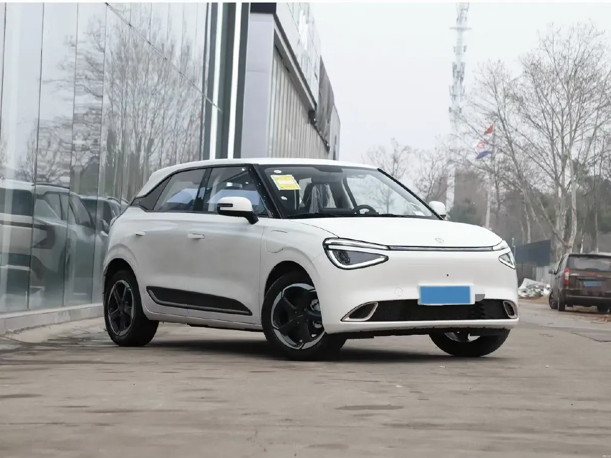 2024 DongFeng Nammi 01 BEV 42.3KWH,autocango,china used car exporter,china ev exporter,chinese used car exporter,chinese used ev exporter