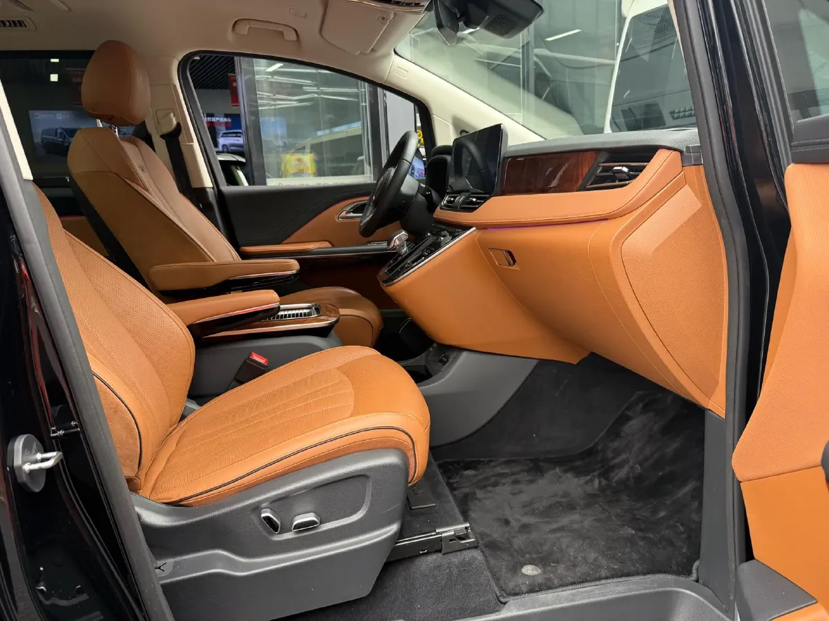 2024 HongQi HQ9 2.0T 163HP L4 1DHT PHEV 20.14KWH,autocango,china used car exporter,china ev exporter,chinese used car exporter,chinese used ev exporter