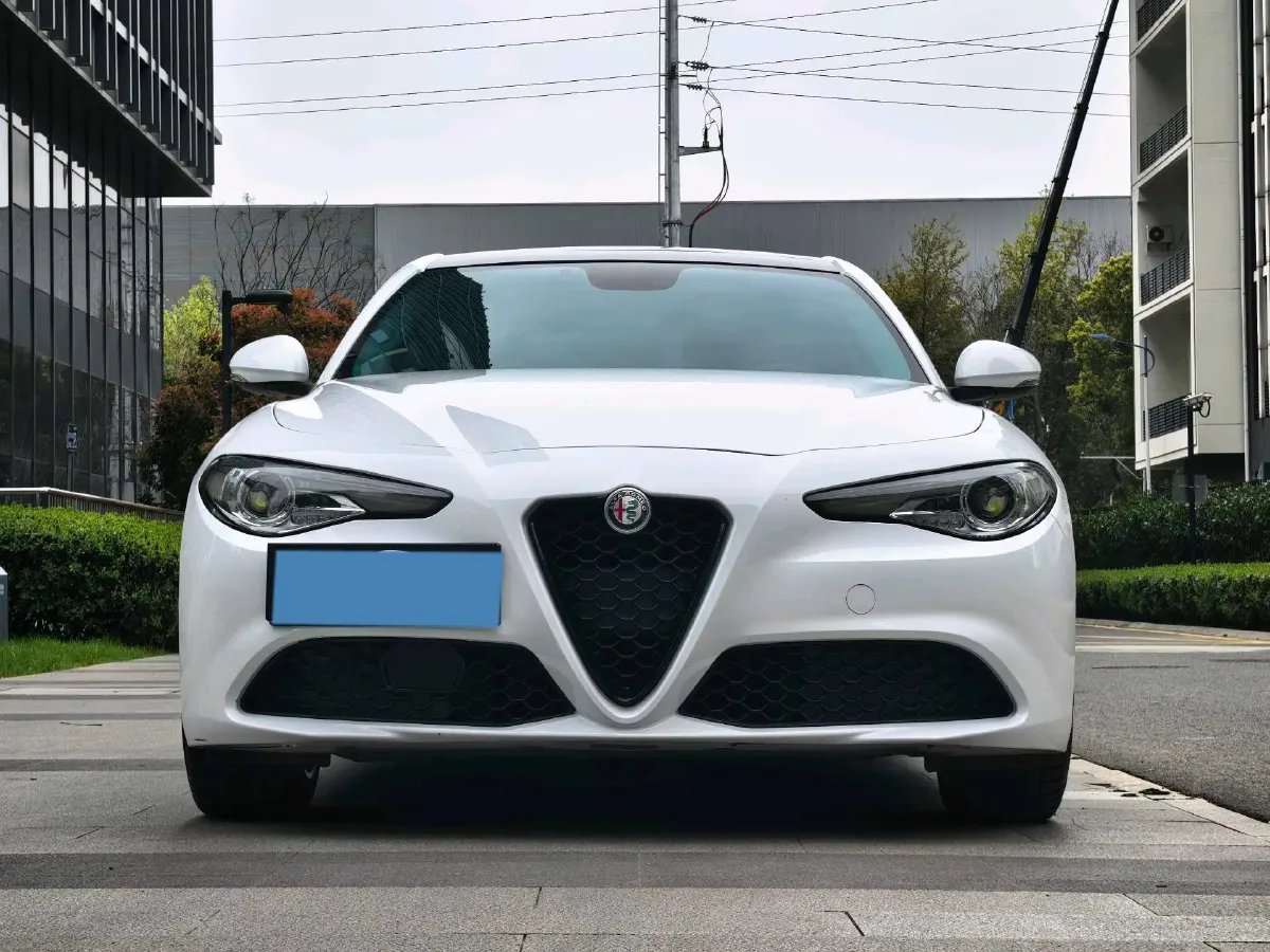 2017 Ford Mustang 2.3T 314HP L4 6AT,autocango,china used car exporter,china ev exporter,chinese used car exporter,chinese used ev exporter