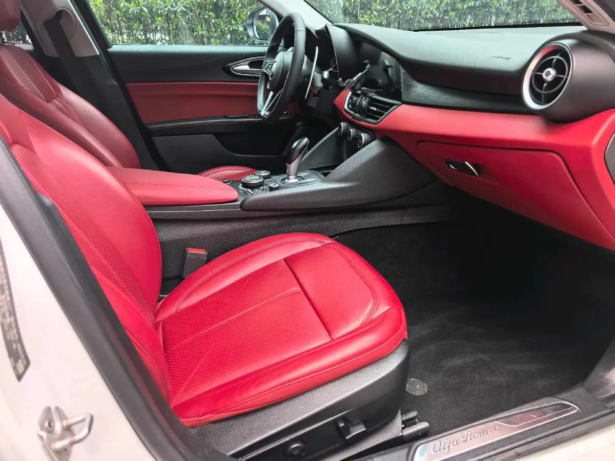 2017 Ford Mustang 2.3T 314HP L4 6AT,autocango,china used car exporter,china ev exporter,chinese used car exporter,chinese used ev exporter