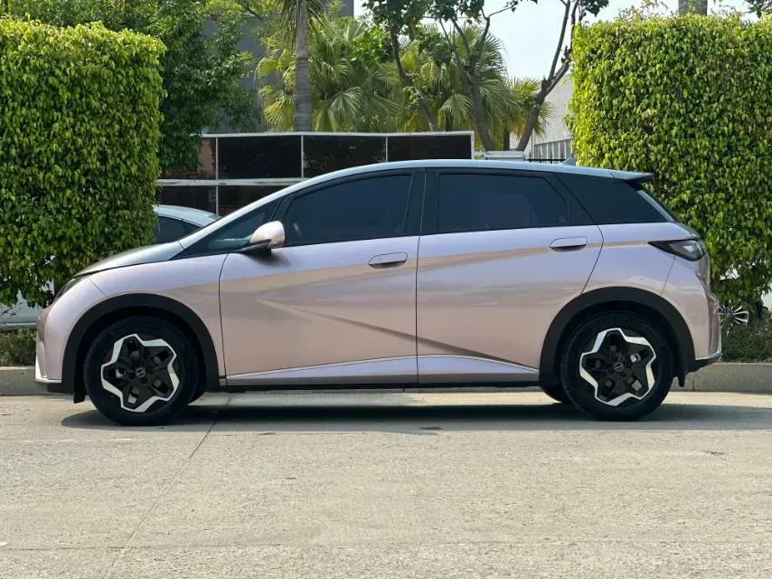 2021 BYD e2 BEV 43.2KWH,autocango,china used car exporter,china ev exporter,chinese used car exporter,chinese used ev exporter