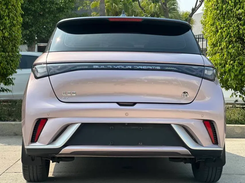 2021 BYD e2 BEV 43.2KWH,autocango,china used car exporter,china ev exporter,chinese used car exporter,chinese used ev exporter