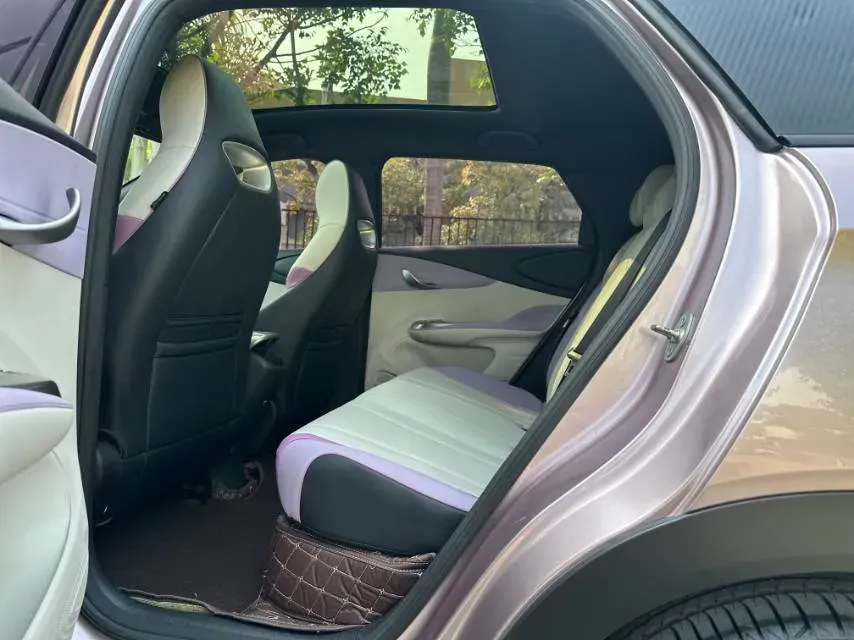 2021 BYD e2 BEV 43.2KWH,autocango,china used car exporter,china ev exporter,chinese used car exporter,chinese used ev exporter