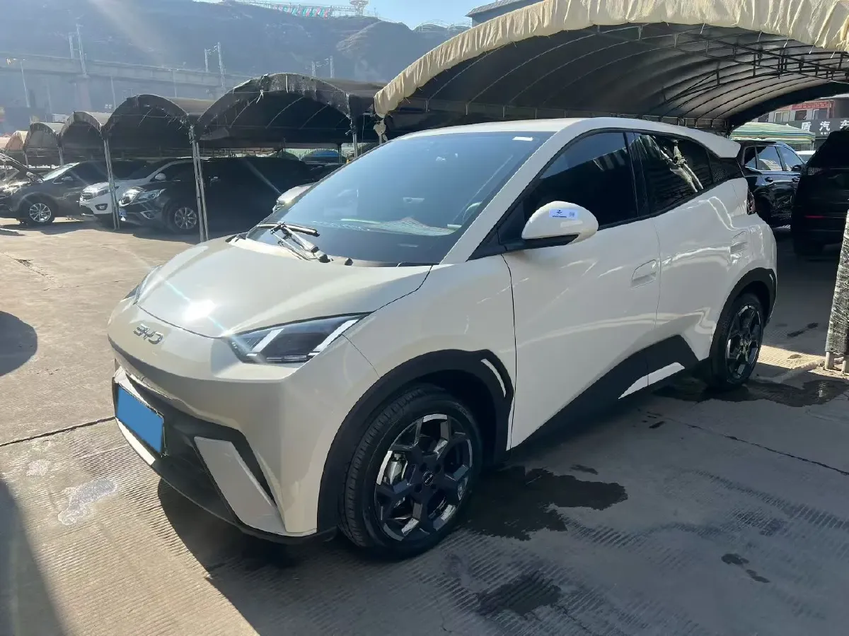 2025 BYD Seagull BEV 38.88KWH,autocango,china used car exporter,china ev exporter,chinese used car exporter,chinese used ev exporter