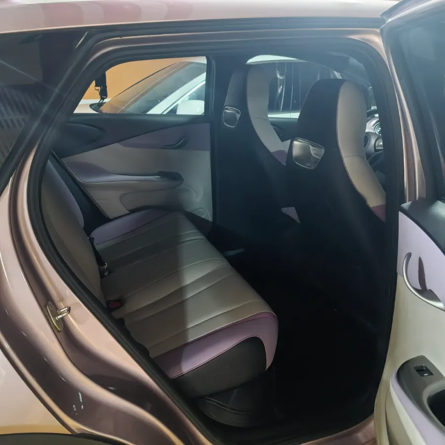 2021 Ford Escort 1.5L 122HP L3 6AT,autocango,china used car exporter,china ev exporter,chinese used car exporter,chinese used ev exporter