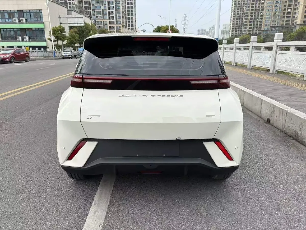 2024 BYD Seagull BEV 38.88KWH,autocango,china used car exporter,china ev exporter,chinese used car exporter,chinese used ev exporter