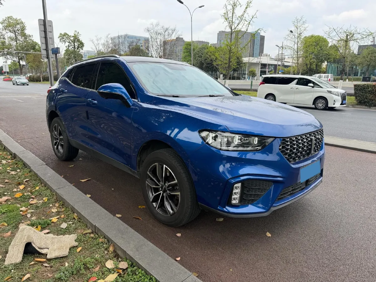 2020 WEY VV5 1.5T 171HP L4 7DCT,autocango,china used car exporter,china ev exporter,chinese used car exporter,chinese used ev exporter