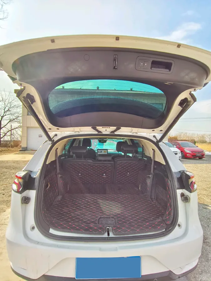 2019 BYD Tang 2.0T 192HP L4 6AT,autocango,china used car exporter,china ev exporter,chinese used car exporter,chinese used ev exporter