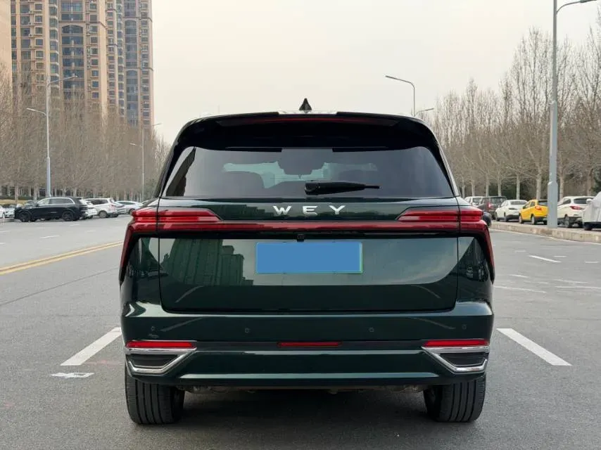 2023 WEY BlueMountain 1.5T 154HP L4 2DHT PHEV 44.5KWH,autocango,china used car exporter,china ev exporter,chinese used car exporter,chinese used ev exporter
