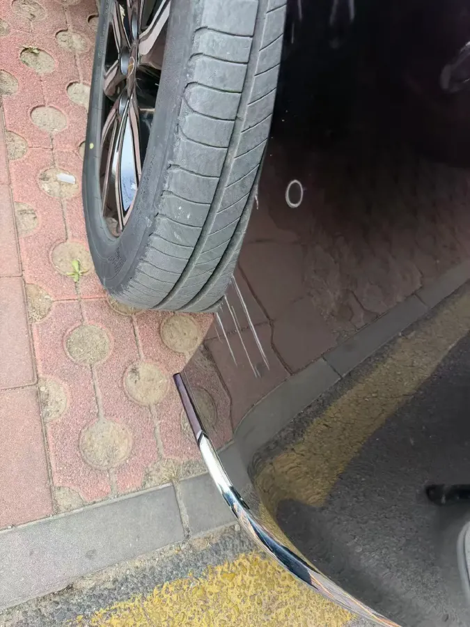 2023 HongQi HQ9 2.0T 252HP L4 8AT,autocango,china used car exporter,china ev exporter,chinese used car exporter,chinese used ev exporter