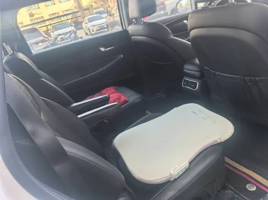 2023 Hyundai Santafe 2.0T 230HP L4 8AT,autocango,china used car exporter,china ev exporter,chinese used car exporter,chinese used ev exporter