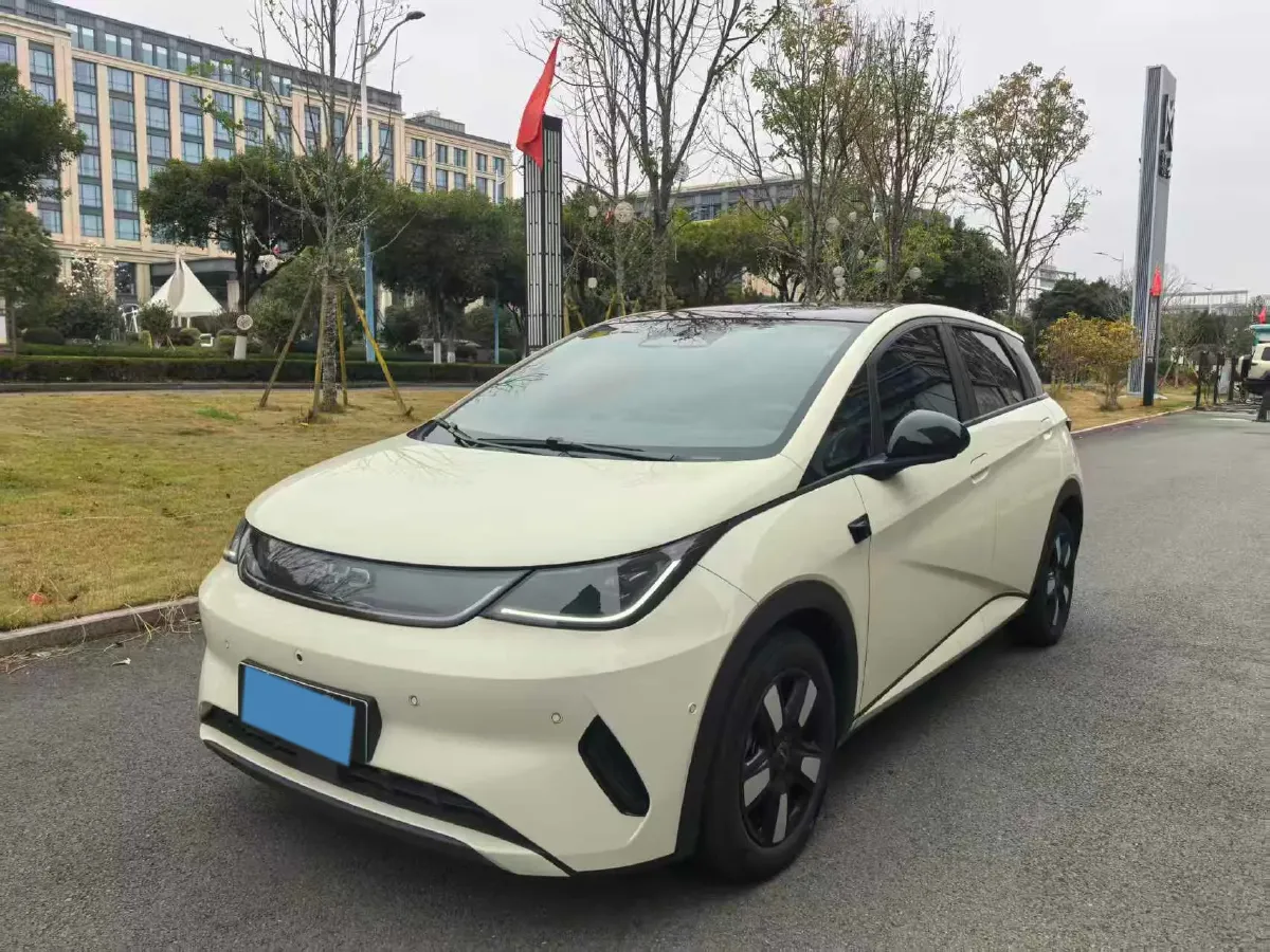 2025 BYD Dolphin BEV 45.12KWH,autocango,china used car exporter,china ev exporter,chinese used car exporter,chinese used ev exporter