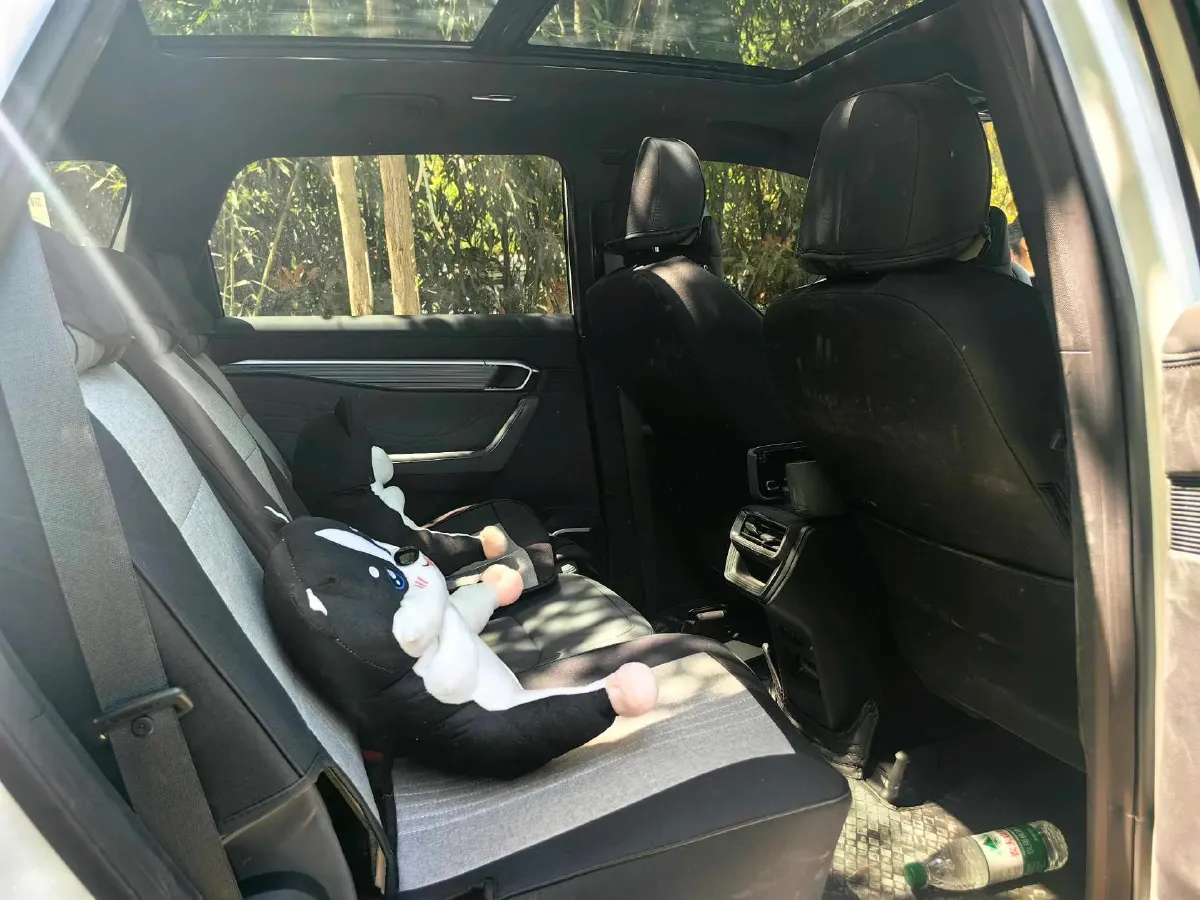 2026 Geely Okavango L 1.5T 181HP L4 7DCT,autocango,china used car exporter,china ev exporter,chinese used car exporter,chinese used ev exporter