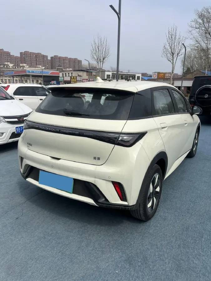 2025 BYD Dolphin BEV 44.928KWH,autocango,china used car exporter,china ev exporter,chinese used car exporter,chinese used ev exporter