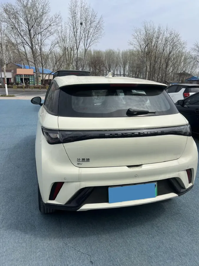 2025 BYD Dolphin BEV 44.928KWH,autocango,china used car exporter,china ev exporter,chinese used car exporter,chinese used ev exporter