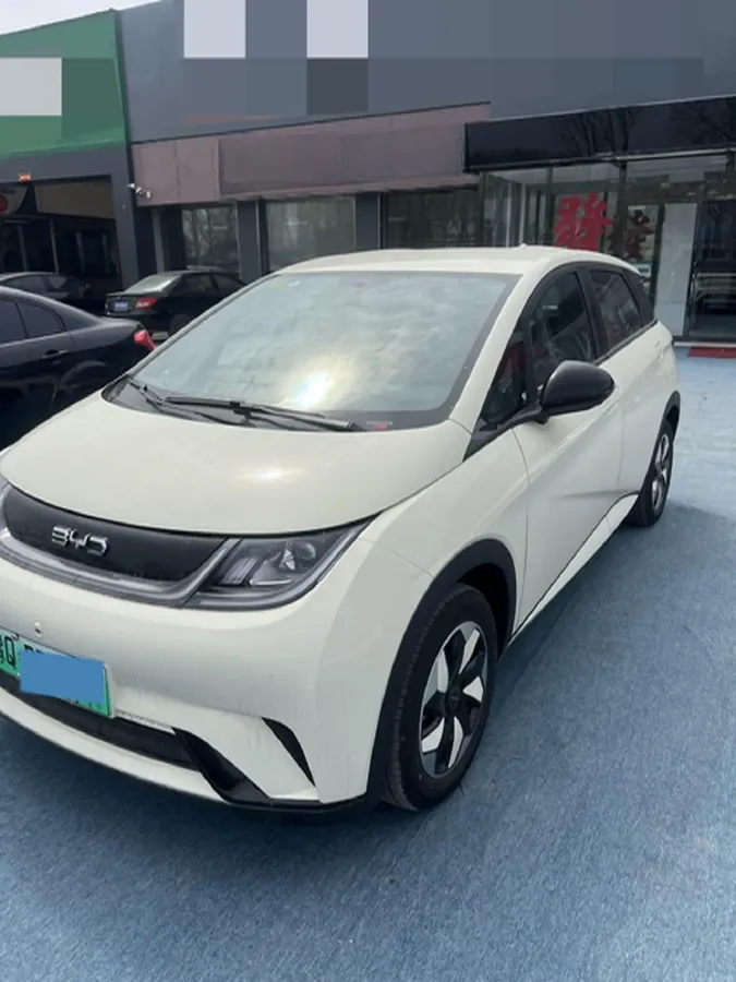 2025 BYD Dolphin BEV 44.928KWH,autocango,china used car exporter,china ev exporter,chinese used car exporter,chinese used ev exporter