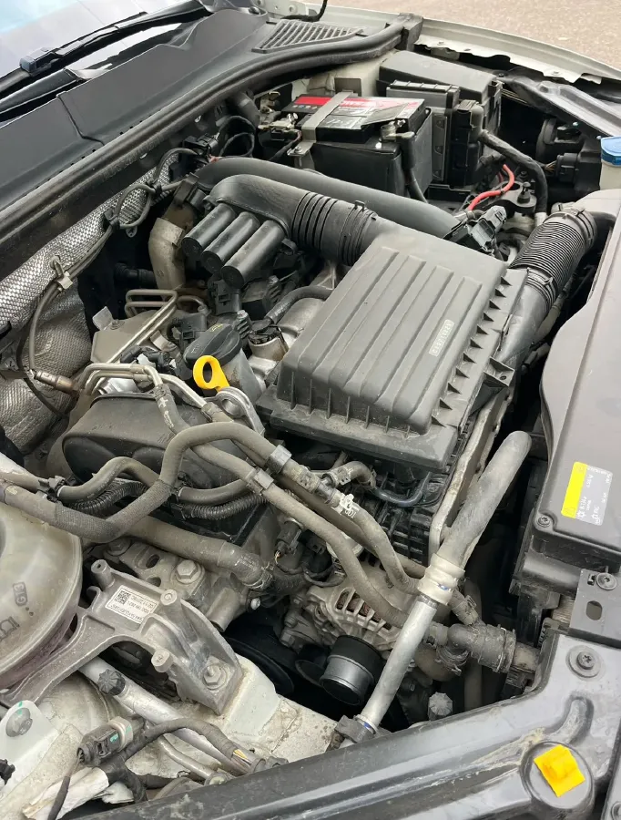 2019 Ford Focus 1.5T 184HP L3 8AT,autocango,china used car exporter,china ev exporter,chinese used car exporter,chinese used ev exporter