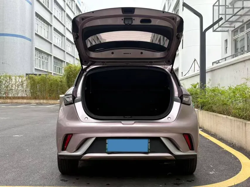 2021 BYD Yuan Pro BEV 50.1KWH,autocango,china used car exporter,china ev exporter,chinese used car exporter,chinese used ev exporter