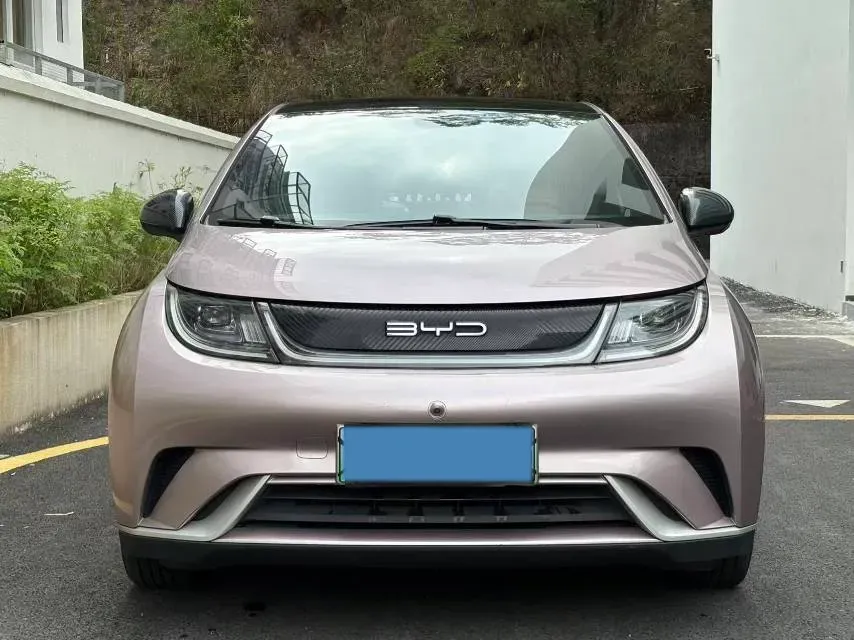 2021 BYD Yuan Pro BEV 50.1KWH,autocango,china used car exporter,china ev exporter,chinese used car exporter,chinese used ev exporter