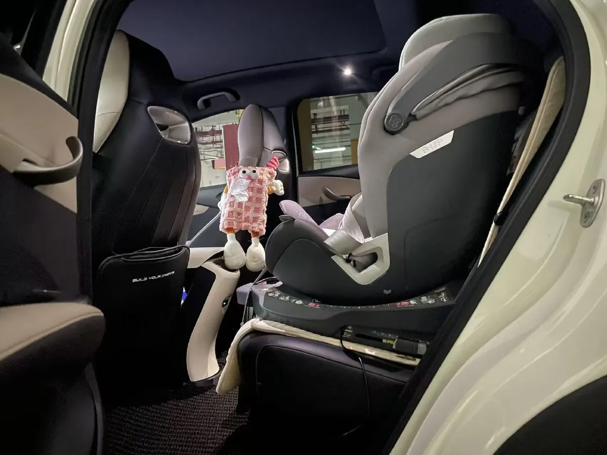 2024 BYD Dolphin BEV 44.928KWH,autocango,china used car exporter,china ev exporter,chinese used car exporter,chinese used ev exporter