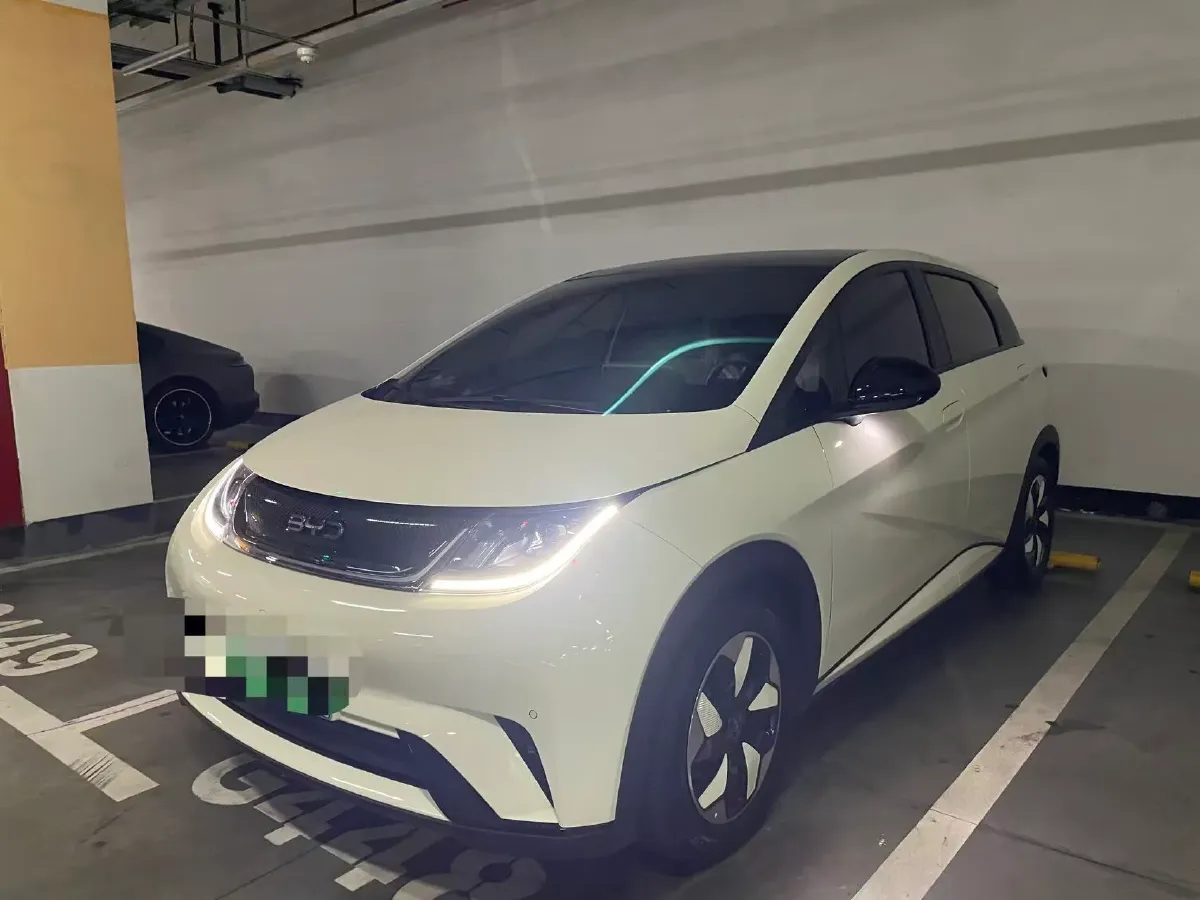2024 BYD Dolphin BEV 44.928KWH,autocango,china used car exporter,china ev exporter,chinese used car exporter,chinese used ev exporter