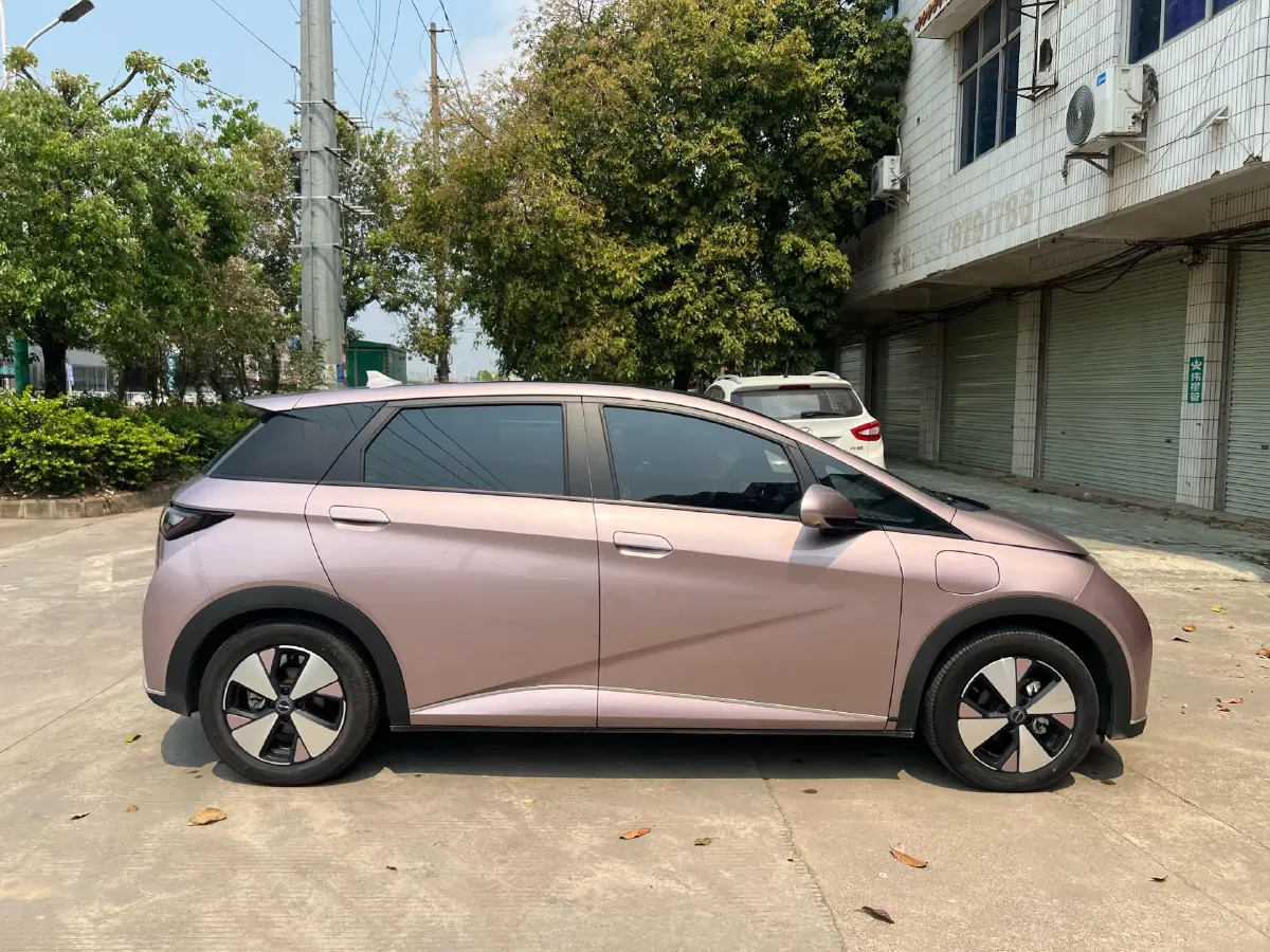 2023 BYD Dolphin BEV 44.928KWH,autocango,china used car exporter,china ev exporter,chinese used car exporter,chinese used ev exporter