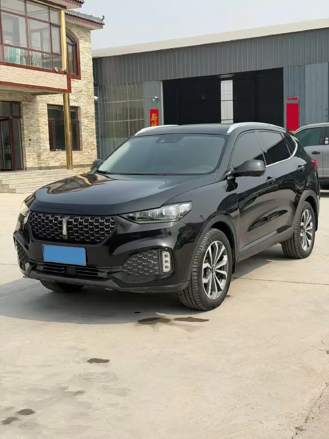 2021 WEY VV6 2.0T 227HP L4 7DCT,autocango,china used car exporter,china ev exporter,chinese used car exporter,chinese used ev exporter