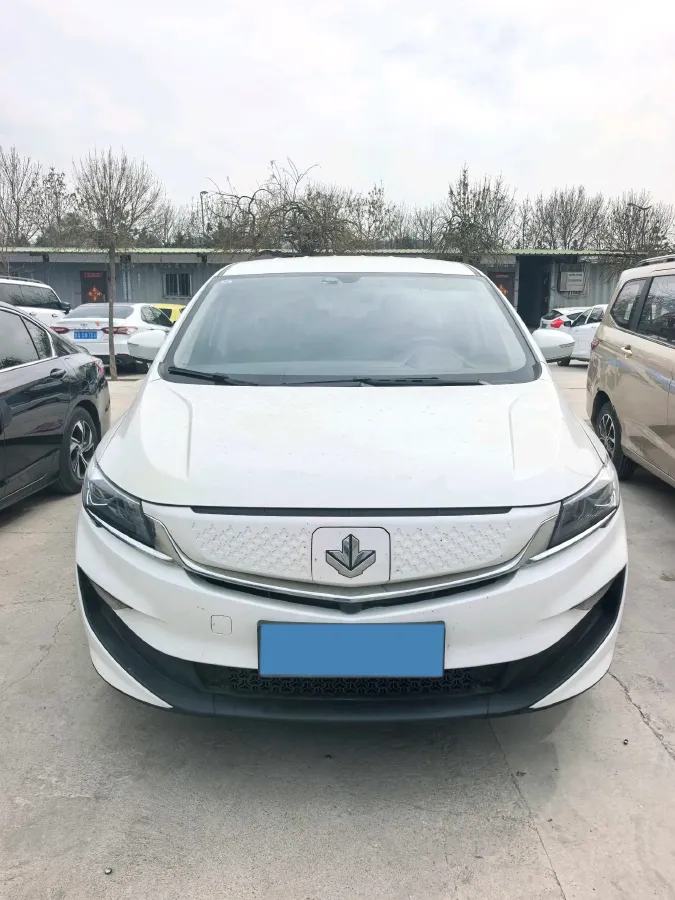 2021 LiFan Maple 80v BEV 53KWH,autocango,china used car exporter,china ev exporter,chinese used car exporter,chinese used ev exporter