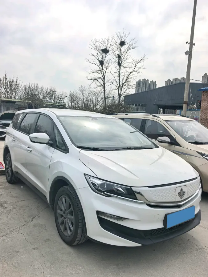 2021 LiFan Maple 80v BEV 53KWH,autocango,china used car exporter,china ev exporter,chinese used car exporter,chinese used ev exporter