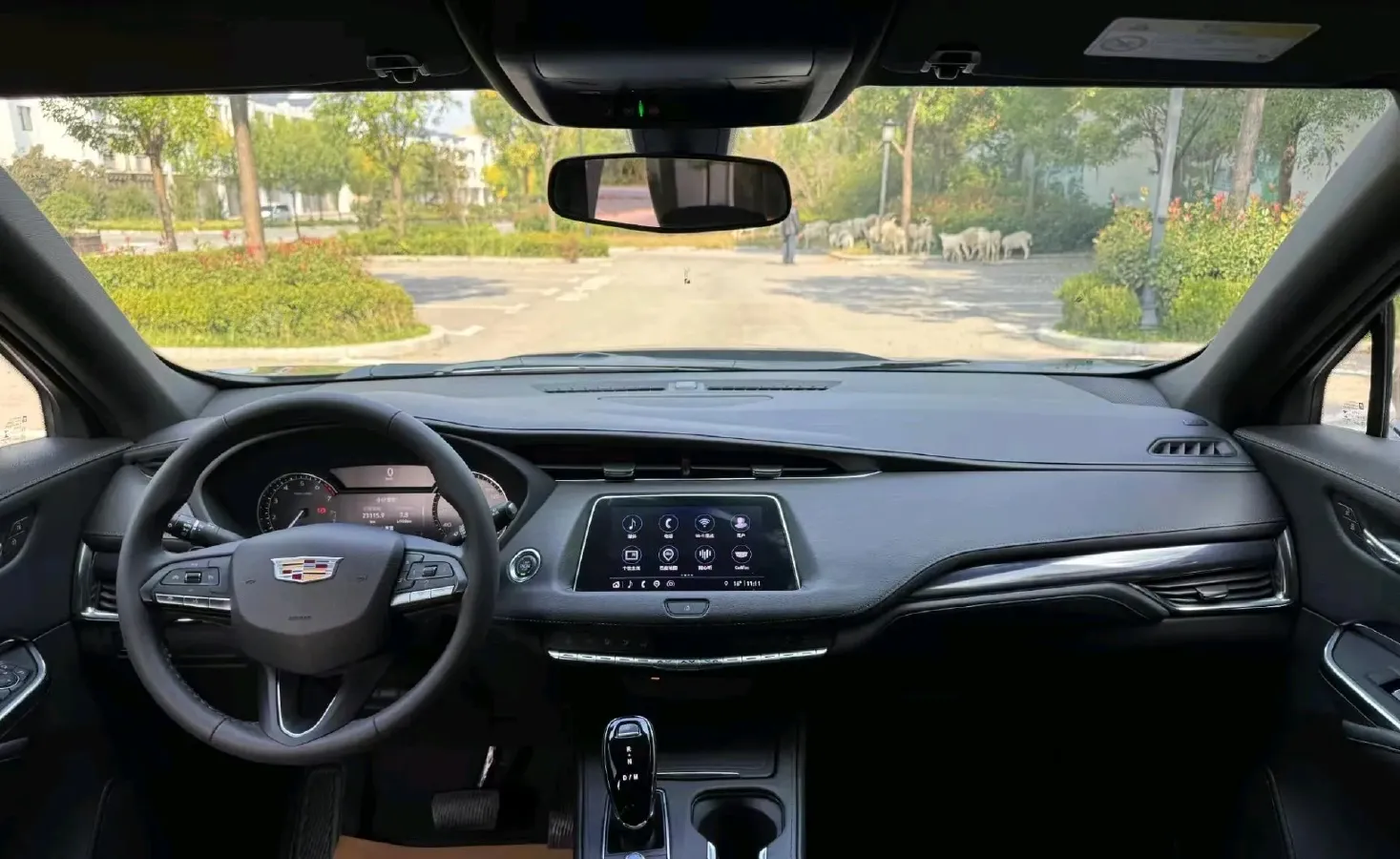 2022 Cadillac XT4 2.0T 237HP L4 9AT,autocango,china used car exporter,china ev exporter,chinese used car exporter,chinese used ev exporter